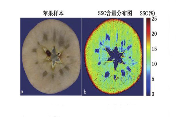 蘋果可溶性含量檢測(cè)